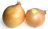 onions